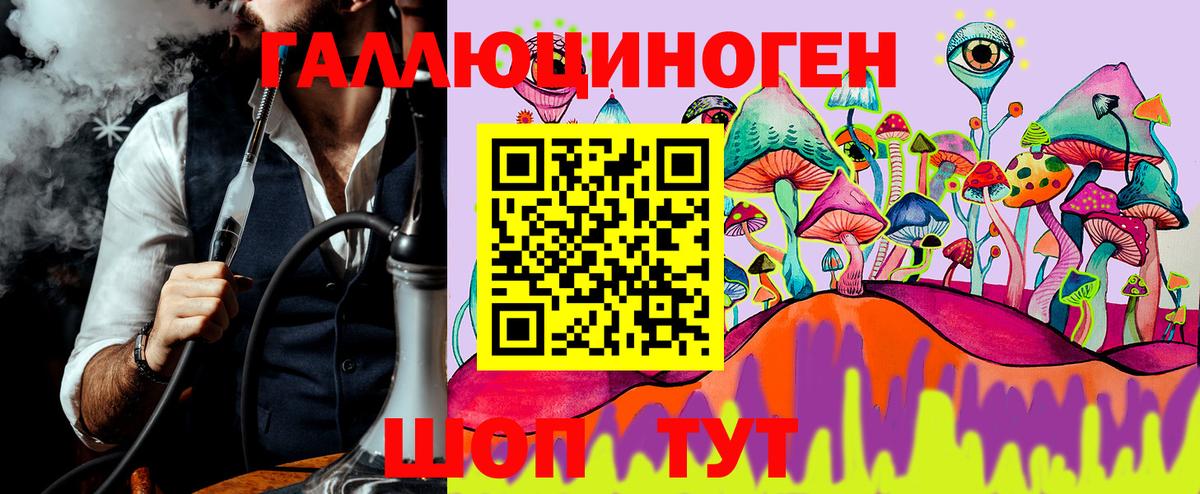 Киселёвск  Псилоцибиновые грибы GOLDEN TEACHER  Вход с VPN 